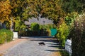 Black cat cross the road in Wustrow, Germany Royalty Free Stock Photo