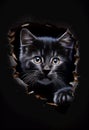 Black cat with curious green eyes peering out from a hole in a black background, AI-generated.