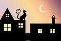 Black Cat with curly tail sits on the roof at night looks at moon and stars,  silhouette isolated on sunset gradient banner Royalty Free Stock Photo