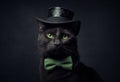 Black cat in cylinder hat and bow tie on black background. Funny serious pet.