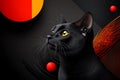 A black cat depicted in an abstract, geometric style, using bold lines and shapes to create a modern interpretation