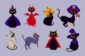 black cat in different images on Halloween pirate zombie vampire demon wizard pumpkin mummy Royalty Free Stock Photo