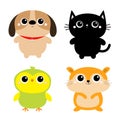 Black Cat Dog Hamster Parrot bird toy icon set. Big eyes. Kitty kitten standing. Funny Kawaii animal. Kids print. Cute cartoon