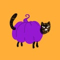 Black cat dressed as a purple pumpkin. The hand-drawn cat stands on four legs, and the host, head and paws stick out from the