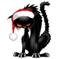 Black Cat Evil Angry Funny Character Royalty Free Stock Photo