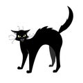 A black cat with an evil look hisses arching its back.