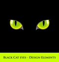 Black cat eyes