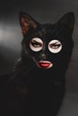 Black cat with eyes and lips of beautiful woman fun collage conceptual creative minimal