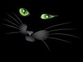 Black cat face Royalty Free Stock Photo