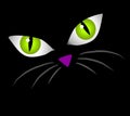 Black Cat Face Eyes Clip Art Royalty Free Stock Photo