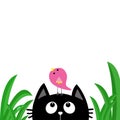 Black cat face head silhouette looking up to bird on head. Green grass dew drop. Cute cartoon character. Kawaii animal. Baby card. Royalty Free Stock Photo