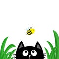 Black cat face head silhouette looking up to flying bee. Green grass dew drop. Cute cartoon character. Kawaii animal. Baby card. P Royalty Free Stock Photo