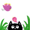 Black Cat Face Head Silhouette Looking Up To Mother And Baby Bird. Green Grass Dew Drop. Cute Cartoon Character. Kawaii Animal. Pe