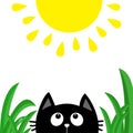 Black cat face head silhouette looking up to shining sun. Green grass dew drop. Cute cartoon character. Kawaii animal. Baby card. Royalty Free Stock Photo