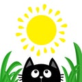 Black cat face head silhouette looking up to sun shining. Green grass dew drop. Cute cartoon character. Kawaii animal. Baby card. Royalty Free Stock Photo