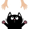 Black cat face looking up to human hand., paw print hug. Cute cartoon funny character. Kawaii animal. Adoption helping hands conce Royalty Free Stock Photo