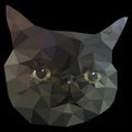 Black Cat Face Low Poly Geometric.