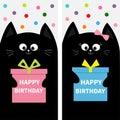 Black cat family couple with gift box bow. Flyer poster set. Cute funny cartoon character. Happy Birthday. Greeting card. Flat des Royalty Free Stock Photo