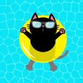 Black cat floating on yellow pool float water circle. Top air view. Hello Summer. Swimming pool water. Sunglasses. Lifebuoy. Cute Royalty Free Stock Photo