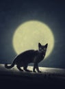 Black cat and full moon Royalty Free Stock Photo