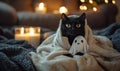 A black cat in a ghost costume Royalty Free Stock Photo