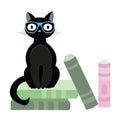 Black cat with glasses and books