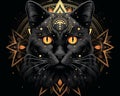 a black cat with golden eyes on a black background