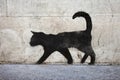 Black Cat Graffiti Royalty Free Stock Photo