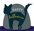 Black cat on gravestone Royalty Free Stock Photo