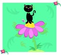 Black Cat with Green Leaf and Flowers Background Royalty Free Stock Photo