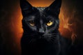 Black Cat halloween background Royalty Free Stock Photo