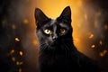 Black Cat halloween background Royalty Free Stock Photo