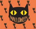 Black cat halloween day