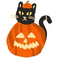 black cat in halloween pumkin