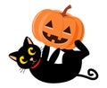 Black cat and halloween pumpkin . Cartoon character . Vector