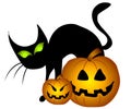 Black Cat Halloween Pumpkins Royalty Free Stock Photo