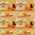 Black cat, Halloween pumpkins and poison seamless pattern Royalty Free Stock Photo