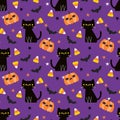 Black Cat and Halloween Pumpkins Seamless Pattern Royalty Free Stock Photo