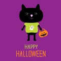 Black cat with Halloween trick or treat pumpkin bu Royalty Free Stock Photo