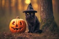 Black cat with Halloween witch costume hat and carved pumpkin in forest Royalty Free Stock Photo