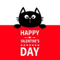 Black cat hanging on board signboard. Cute cartoon funny kitten kitty hiding behind paper. Happy Valentines Day. Calligraphy lette Royalty Free Stock Photo