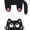 Black cat. Hanging body paw print, tail. Funny face head silhouette. Cute cartoon character. Kawaii animal. Baby card. Pet