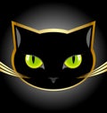 Black cat head Royalty Free Stock Photo