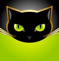 Black cat head Royalty Free Stock Photo