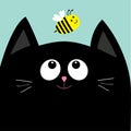 Black cat head looking at honey bee insect. Cute cartoon character. Pet baby collection Card. Flat design. Blue sky background