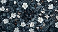 Black Cat Hidden Among White Flowers and Lush Leaves Royalty Free Stock Photo