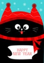 Black Cat holding Happy New Year. Cute funny cartoon character. Snow flake, red hat, scarf. Flat design Blue background.