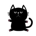 Black cat icon. Cute funny cartoon grumpy character. Kawaii animal. Big tail, whisker, eyes. Sad emotion. Kitty kitten Baby pet co Royalty Free Stock Photo