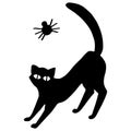 Black cat icon on white isolated backdrop