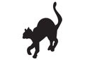 Black cat illustration vectorial Royalty Free Stock Photo